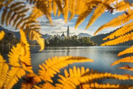 Purchase of Slovenian e-Vignette