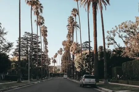 Vinietă bulgară - Cumpărați online în Bulgaria