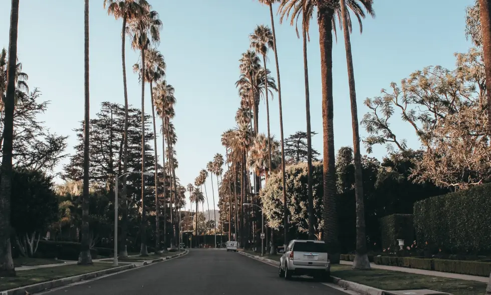 Vignetta per le autostrade bulgare - Acquistala online in Bulgaria