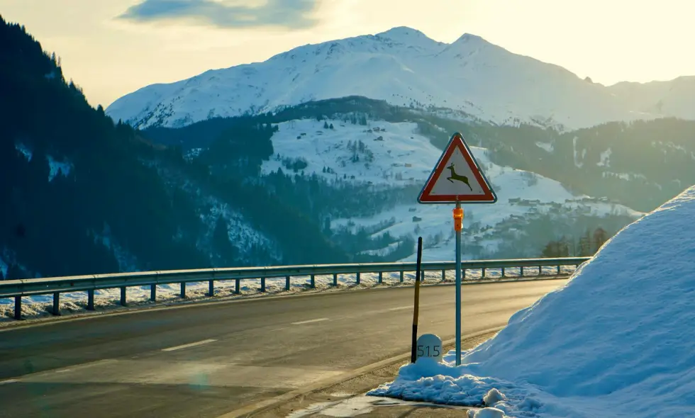 Rete autostradale svizzera e procedura per l'acquisto della vignetta nel 2026