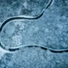 Tolvignet kopen voor Kroatië